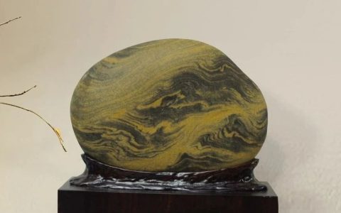 中国赏石文化发展的大趋势。