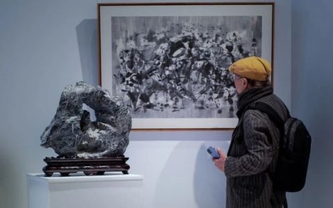 赵德奇：苏州“心象—赏石的视觉与观念”艺术展观感