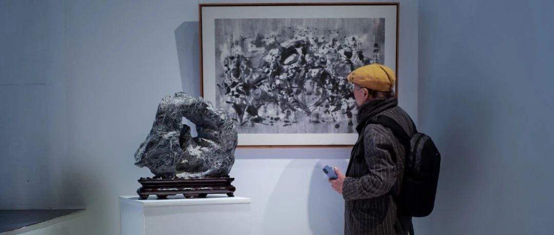 赵德奇：苏州“心象—赏石的视觉与观念”艺术展观感