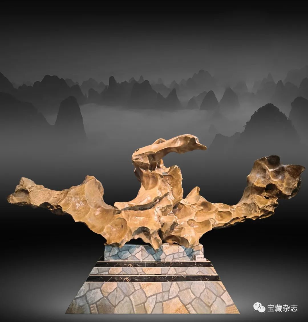 柳州『赏石艺术』的创新发展！