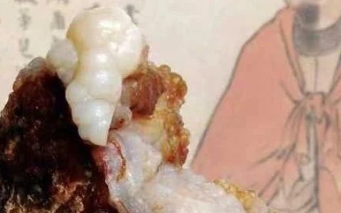 爱石不妨从《说石》读起！