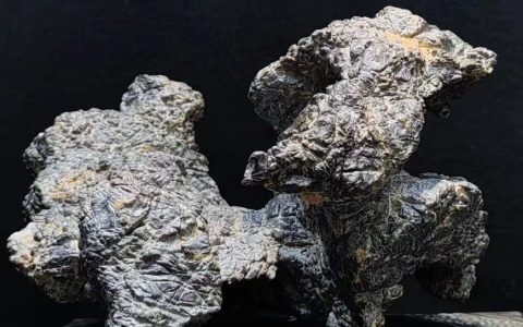 【名家名石】陈炉石“龙腾四海”贺岁迎春