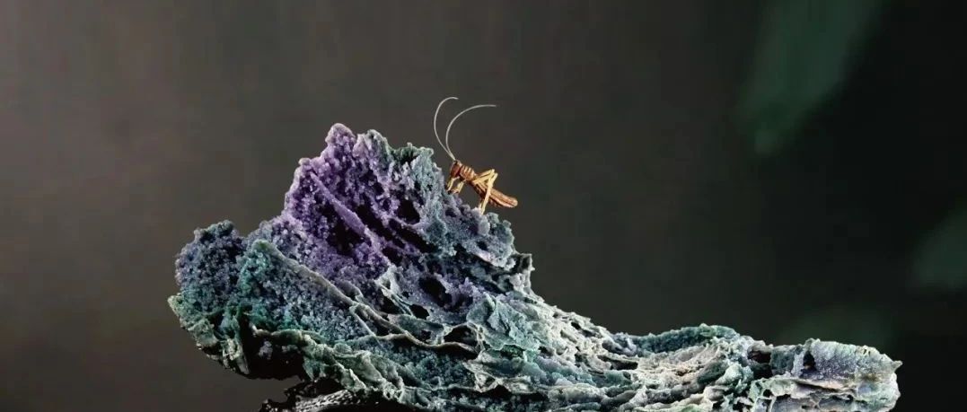 雷敬敷：传统赏石文化与当代艺术。