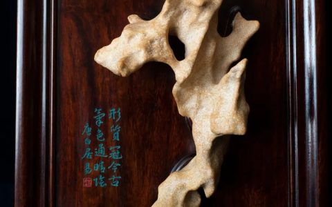 赵德奇：《寿者思》赏石作品诞生记